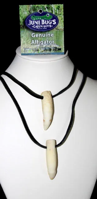 Necklace - Alligator Tooth