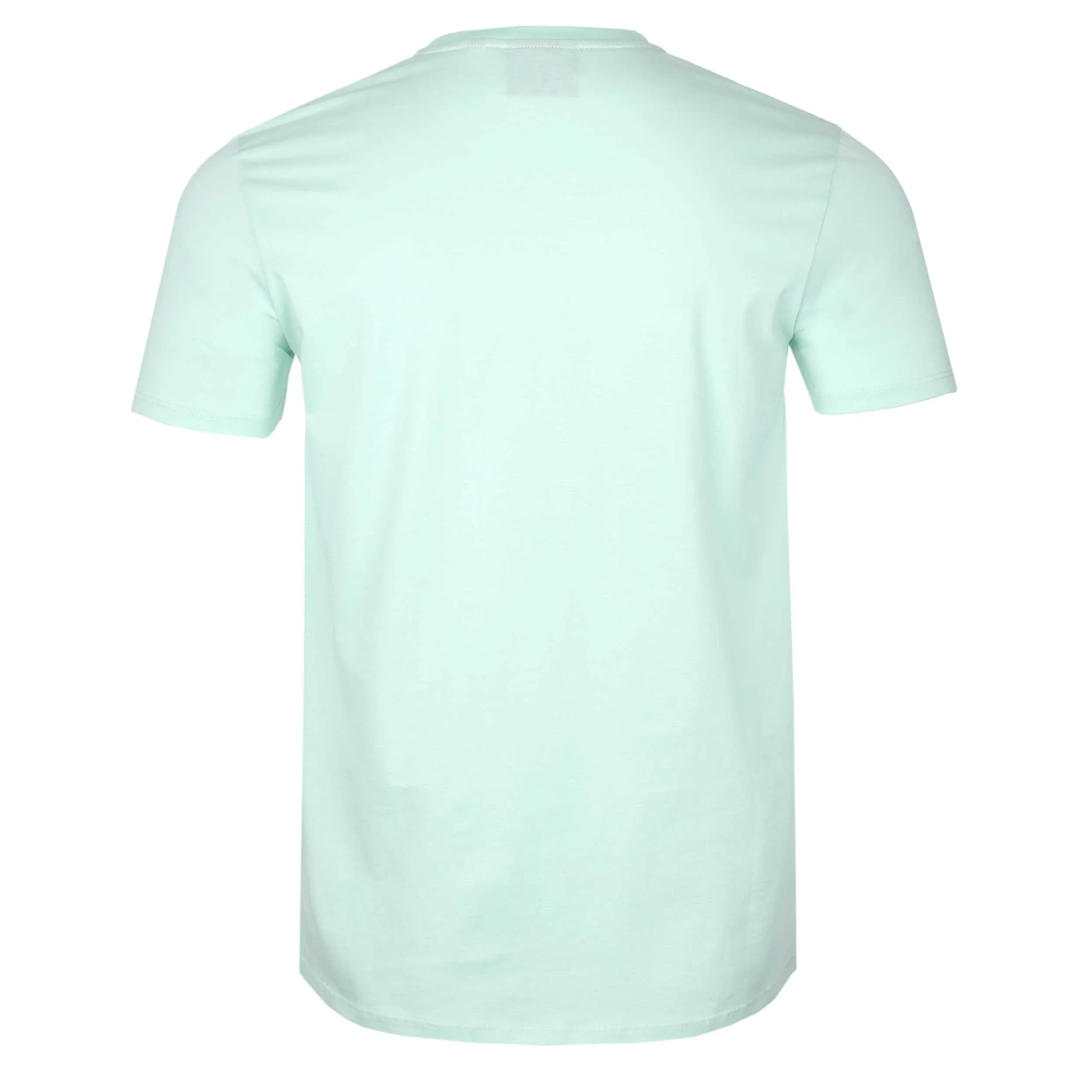 Sandbanks Badge Logo T Shirt in Mint