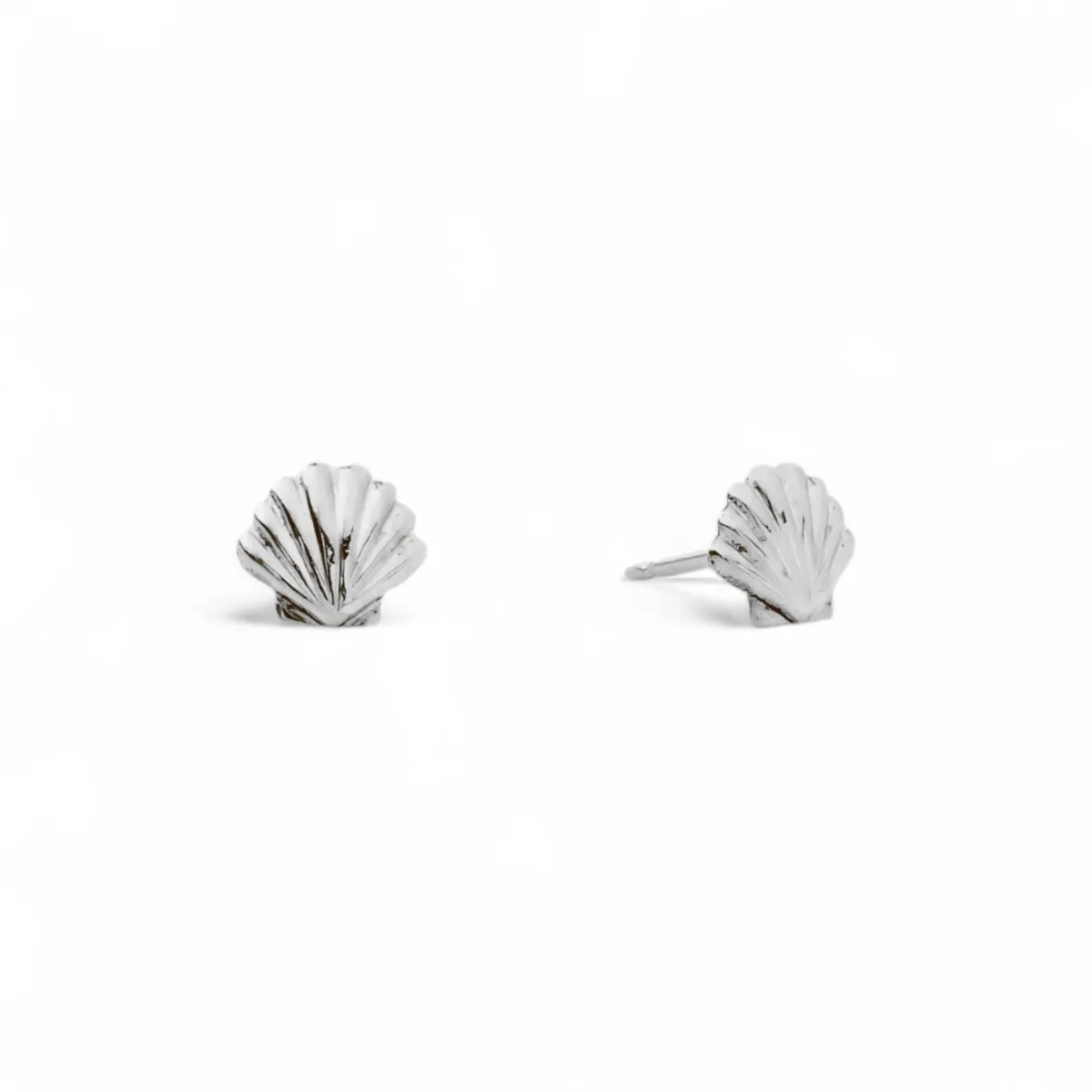 Tiny Scallop Shell Stud Earrings